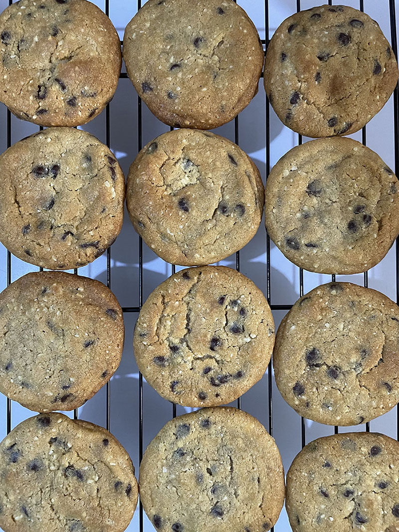 choco chip yummies